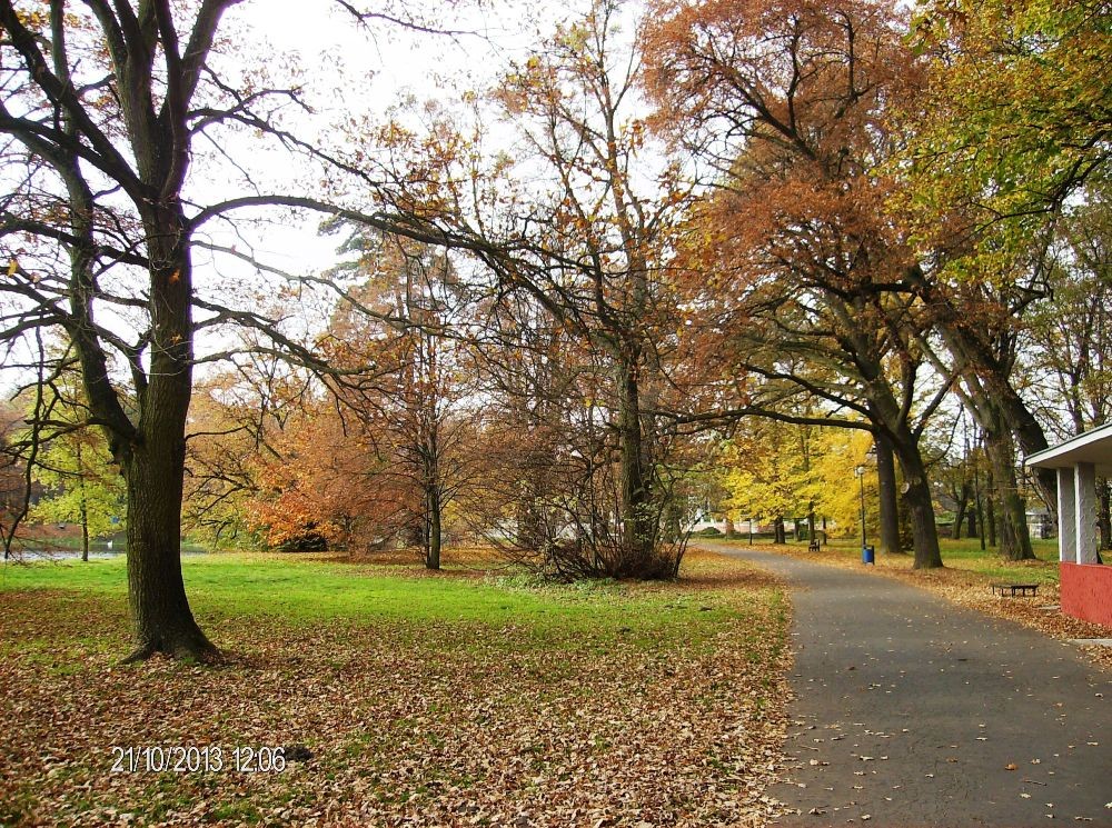 Pozostałe, PARK w ŚWIERKLAŃCU