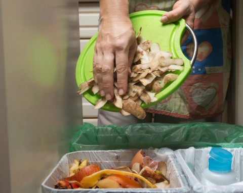 Nie wrzucaj do kompostownika ani bioodpadów. Te domowe resztki są problematyczne