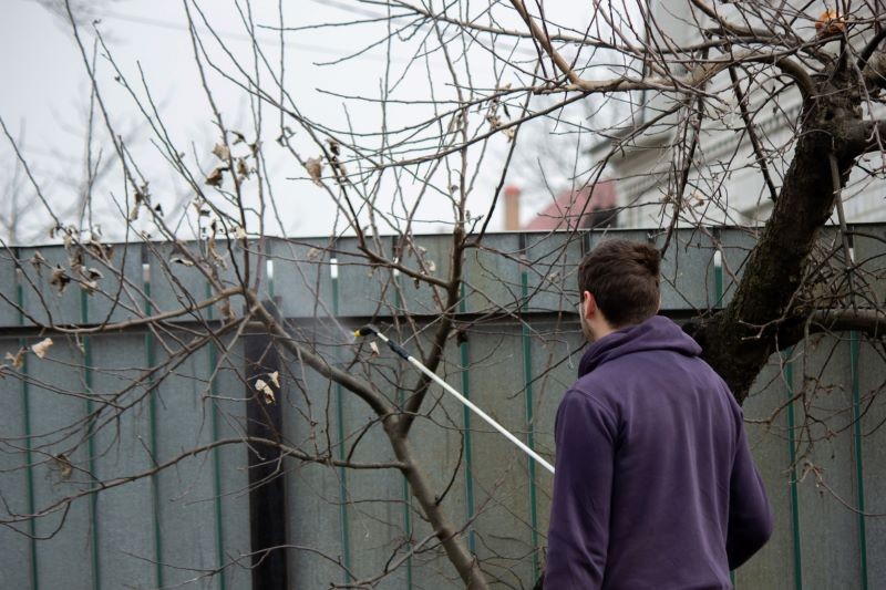 Jakie rośliny pryskać preparatem miedziowym, a których nie? 