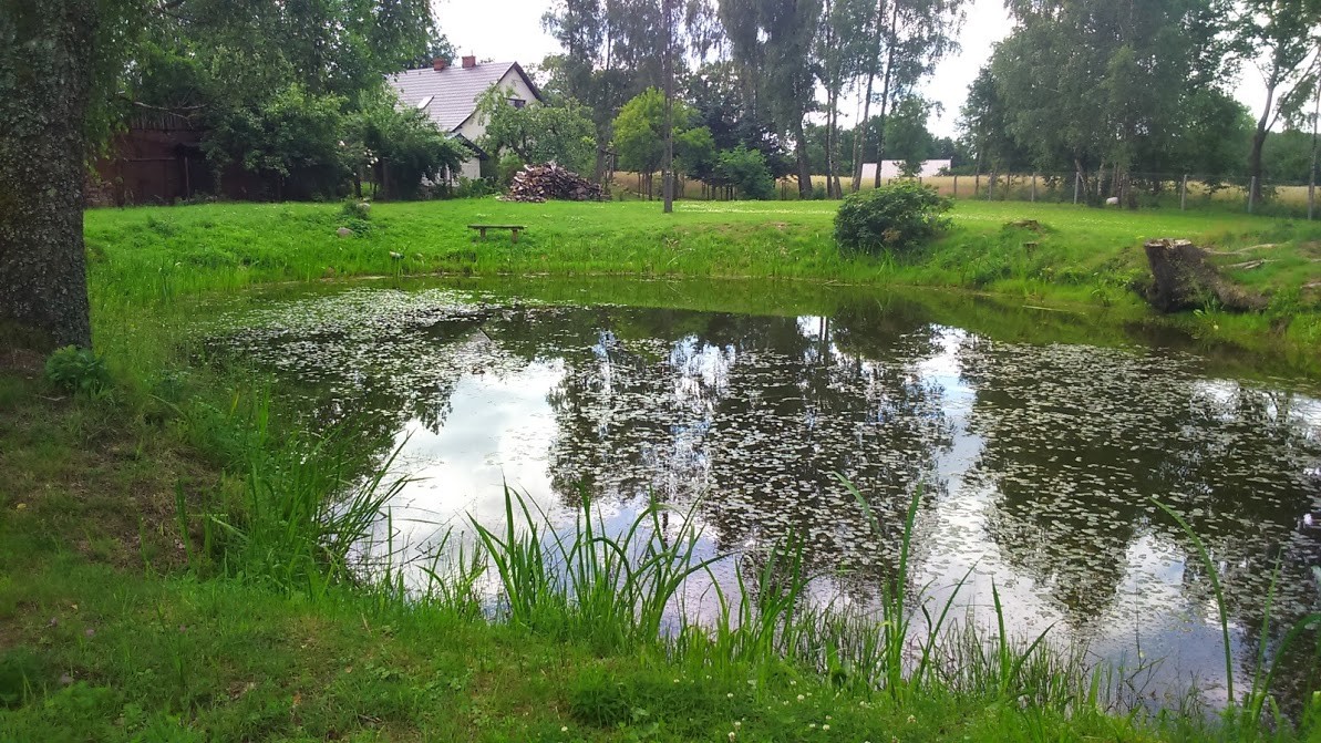 Pozostałe, Ogród z krainy Gotów...