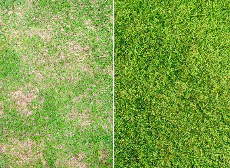 Przed założeniem nowego trawnika musimy pozbyć się starej darni.