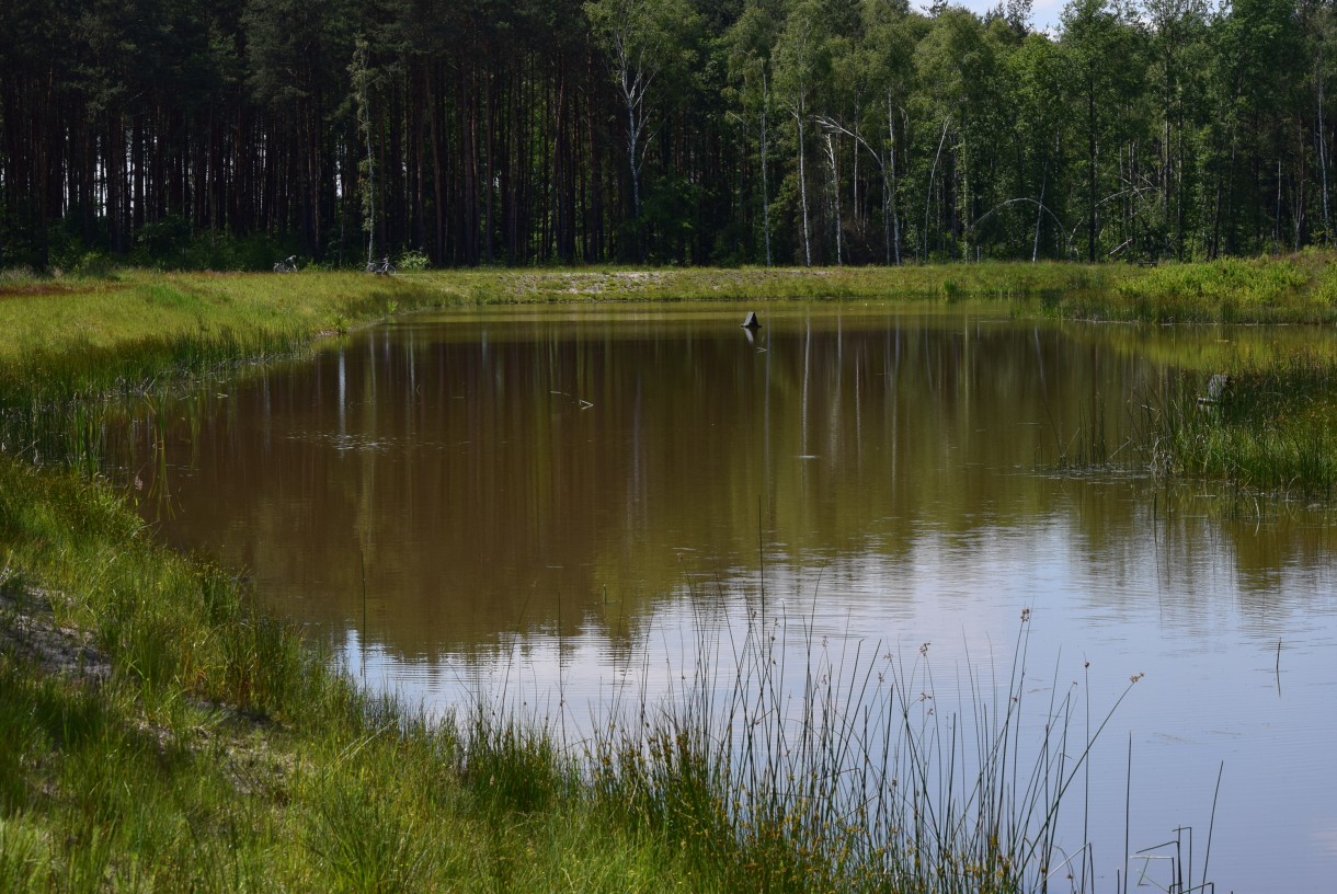 "Nad wodą jasną i czystą..."