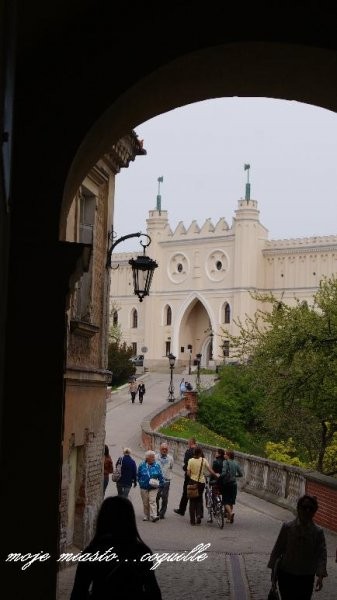 Rośliny, Trochę oddechu...na świeżym powietrzu:)