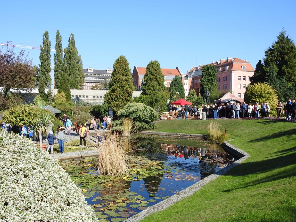 Ogród, FESTIWAL DYNI