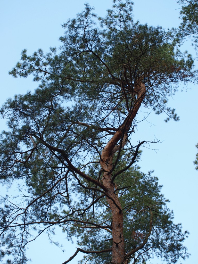 Podróże, wrześniowo i październikowo