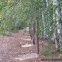 Leśne klimaty, Jak zmieniał się nasz ogród - A tu już wkopane słupki dębowe.