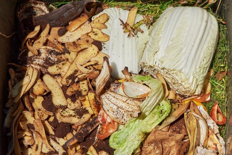 Dostanie się do wnętrza kompostownika to żaden problem dla szczur&oacute;w.