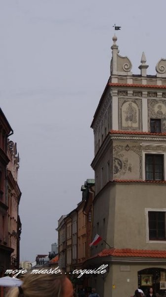 Rośliny, Trochę oddechu...na świeżym powietrzu:)