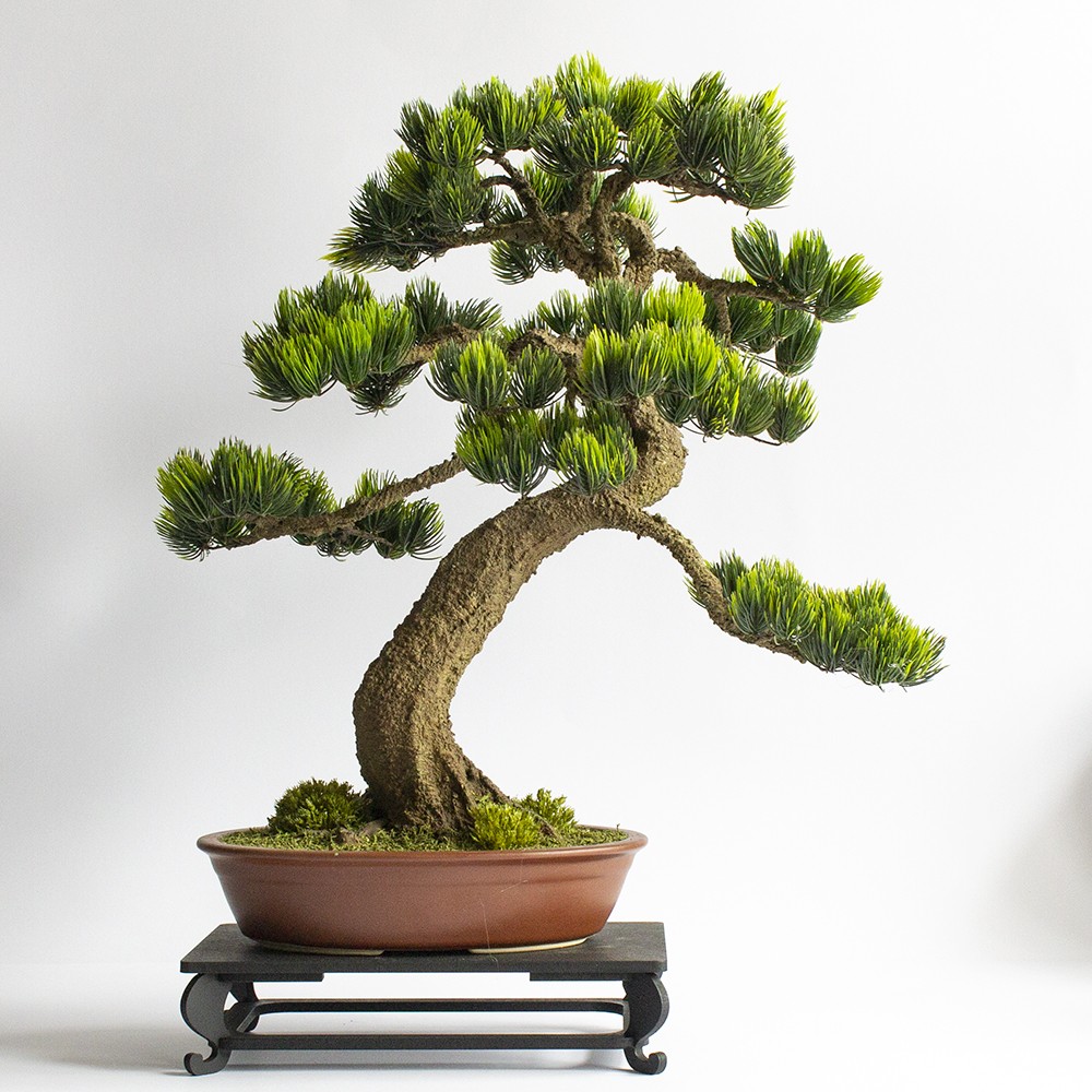 Gabinet, Sztuczne drzewko bonsai zokei wykonane w stylu Moyogi 51cm. - Wystrój salonu - drzewko bonsai