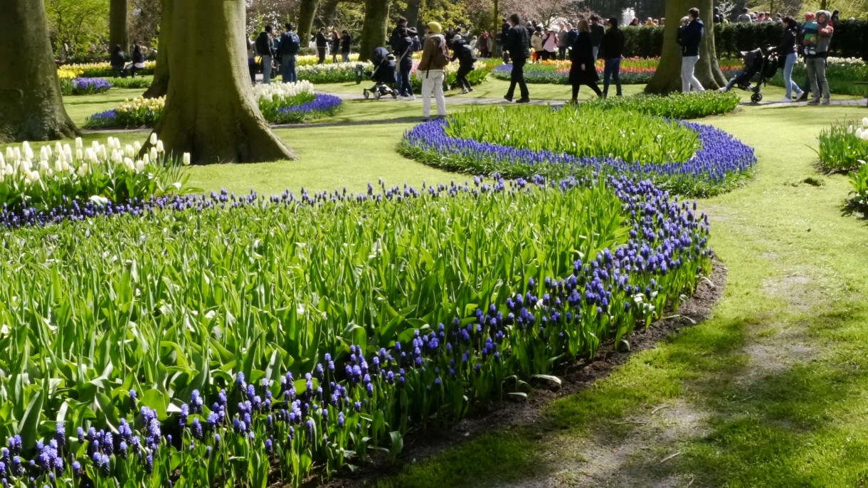 Pozostałe, Keukenhof