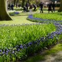 Pozostałe, Keukenhof