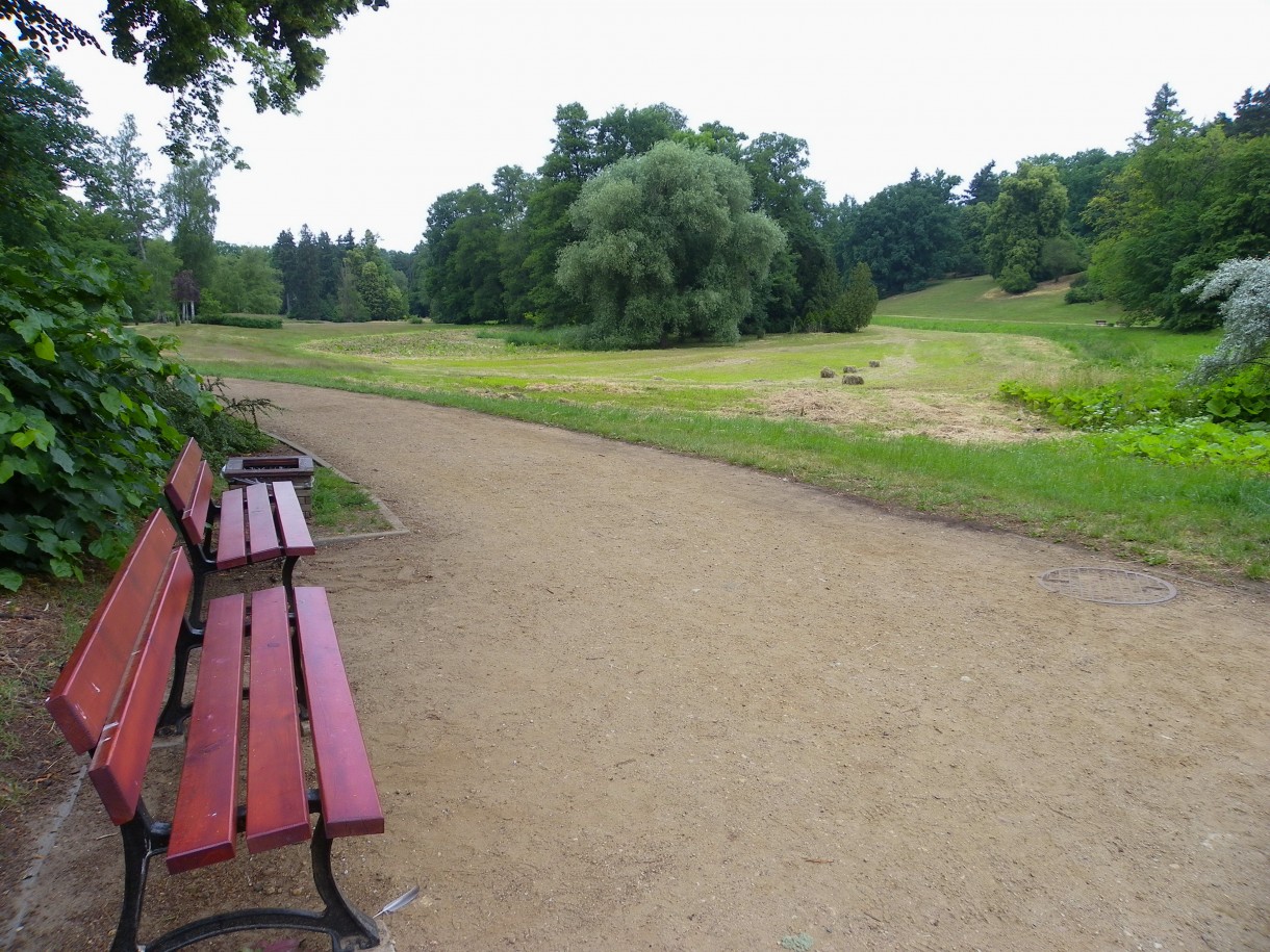 Pozostałe, Arboretum w Gołuchowie - Park i zabudowania cz 1 - Gołuchów