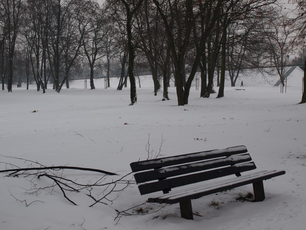 Pozostałe, Zima - byle do wiosny :)