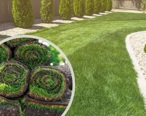 Jak założyć trawnik z rolki krok po korku. Szyba i skuteczna metoda na zielony dywan w ogrodzie