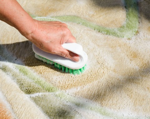 Koleżanka z pracy czyści dywany naparem z liści laurowych. Przetestowałam i bardzo się zdziwiłam