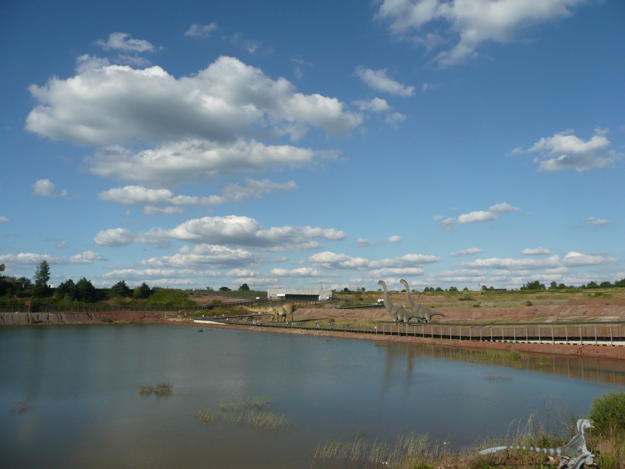 Rośliny, Jurajska