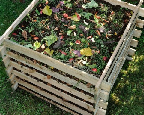 Jak przygotować zdrowy kompost? Tego nie możesz do niego dodawać