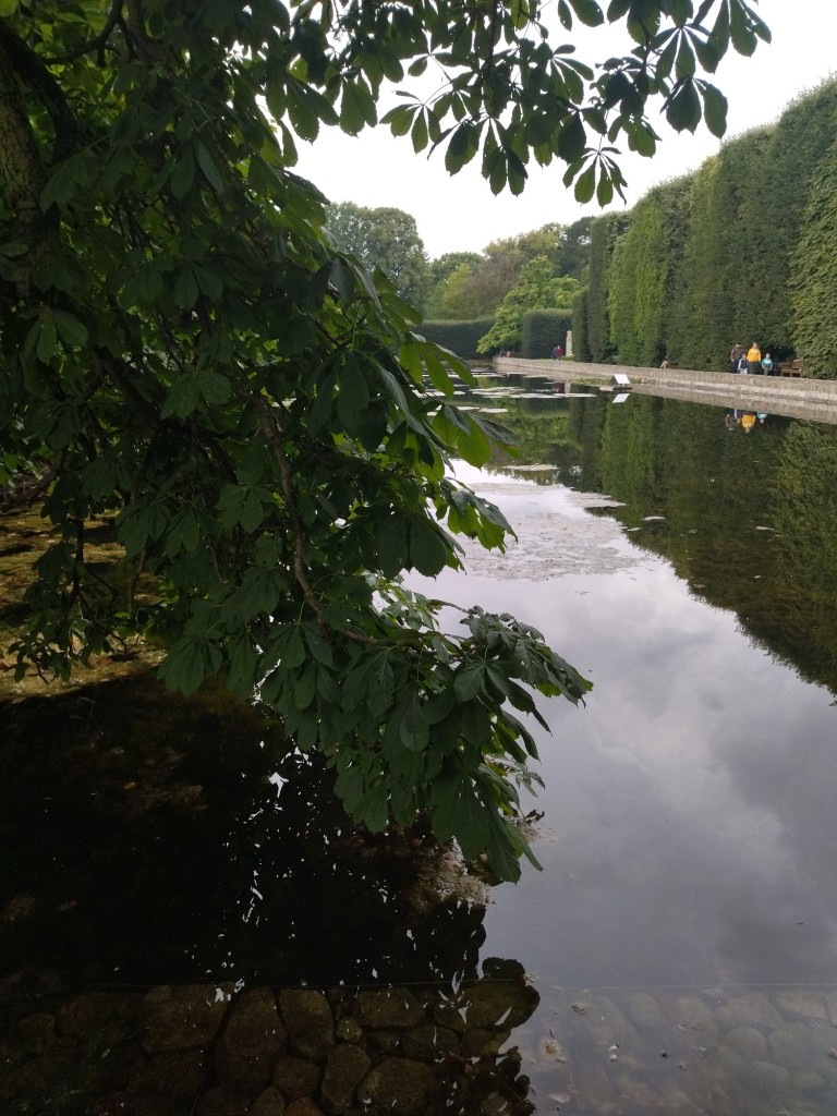 Rośliny, Już październik.................. - Czas  szybko mija ................nie zauważyłam kiedy lato minęło ...............kiedy wakacje się skończyły .............nadeszła jesień..............kolorowa................mglista..............tajemnicza.............prawie nierzeczywista...............