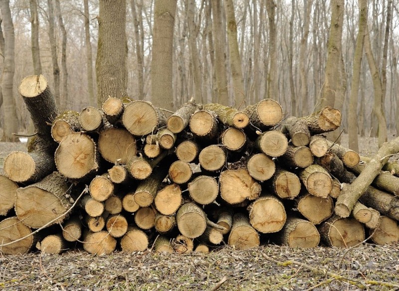 drewno opałowe