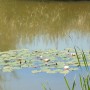 Pozostałe, NATURA w PEŁNEJ  KRASIE - Park Mickiewicza