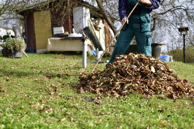 Opadłe liście są tanią i dobrą ściółką.