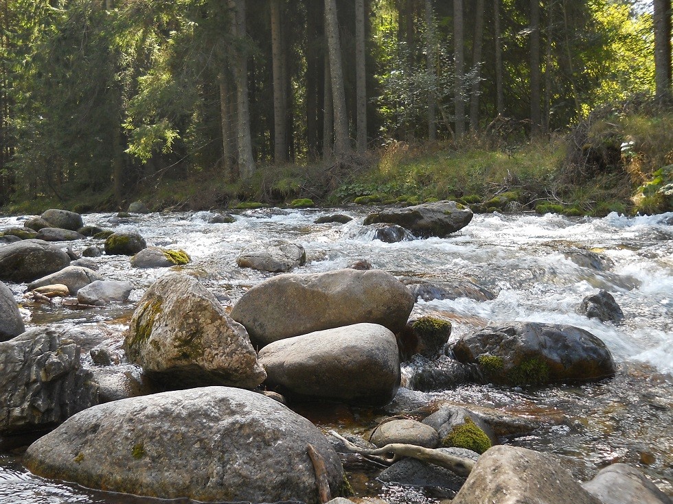 Pozostałe, Zakopane w foto - pigułce. Część piąta: Dolina Kościeliska. - A tu, Ewo i Bożenko, te trzy zdjęcia po kolei zrobiłam dla was na wyłączność:) Weszłam w ten rwący potok i po mokrych, śliskich kamieniach skakałam, jak górska kozica, choć wierzcie mi, nie mam z nią nic wspólnego:) Po to, by dla was zatrzymać w czasie te właśnie zachwycające momenty:)