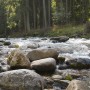 Pozostałe, Zakopane w foto - pigułce. Część piąta: Dolina Kościeliska. - A tu, Ewo i Bożenko, te trzy zdjęcia po kolei zrobiłam dla was na wyłączność:) Weszłam w ten rwący potok i po mokrych, śliskich kamieniach skakałam, jak górska kozica, choć wierzcie mi, nie mam z nią nic wspólnego:) Po to, by dla was zatrzymać w czasie te właśnie zachwycające momenty:)