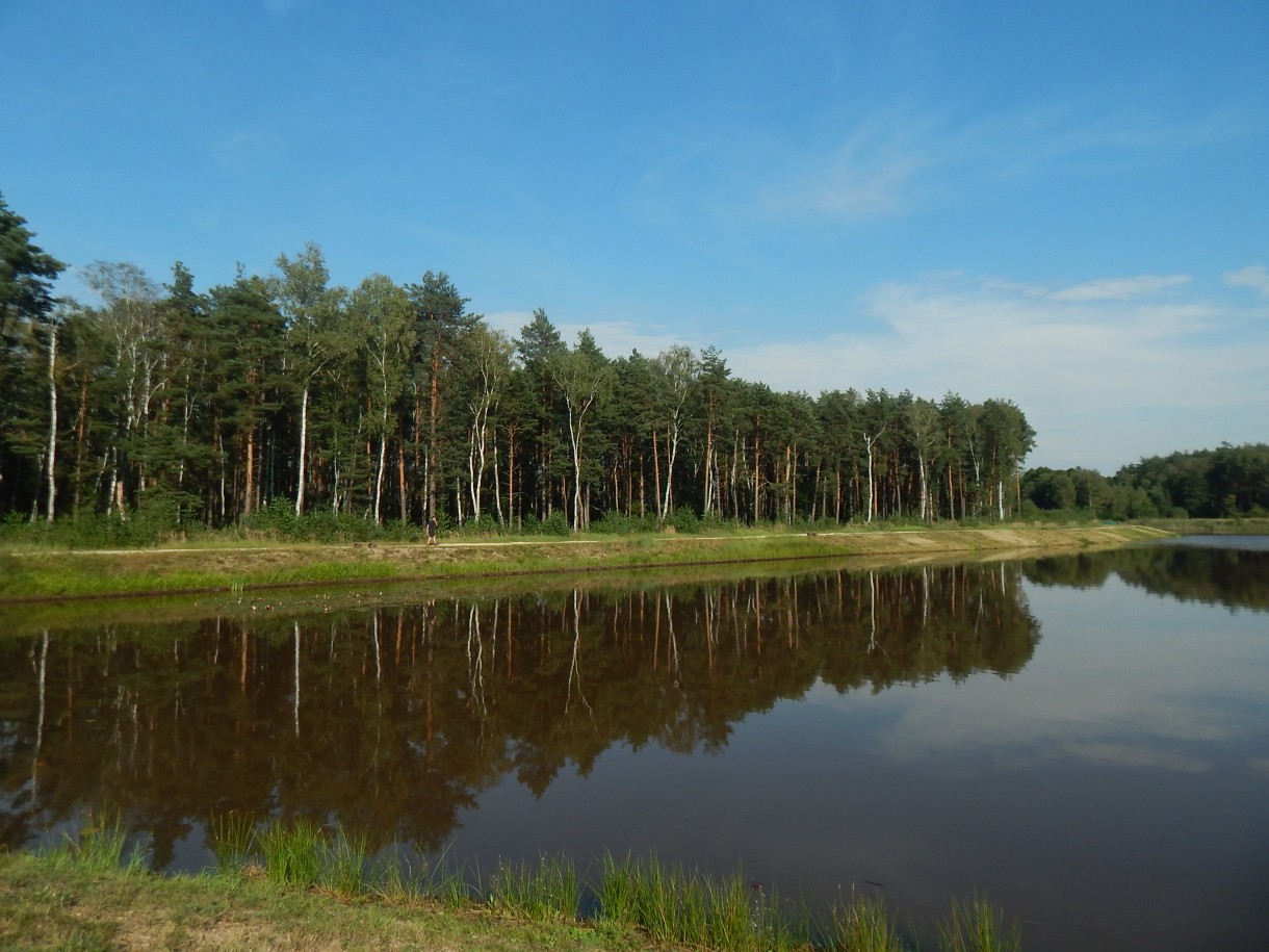 Leśne klimaty, KAWA W LESIE  :)