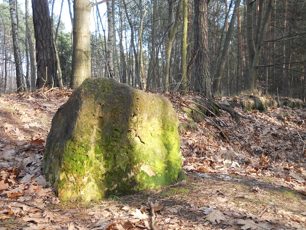 Pozostałe, Zimowe przedwiośnie.