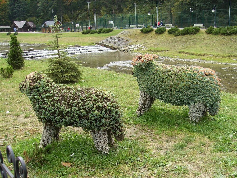 Pozostałe, SZCZAWNICA i uroki mijającego lata