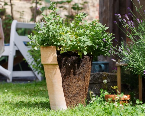 Baśniowy ogródek, czyli sposób na rozbitą doniczkę