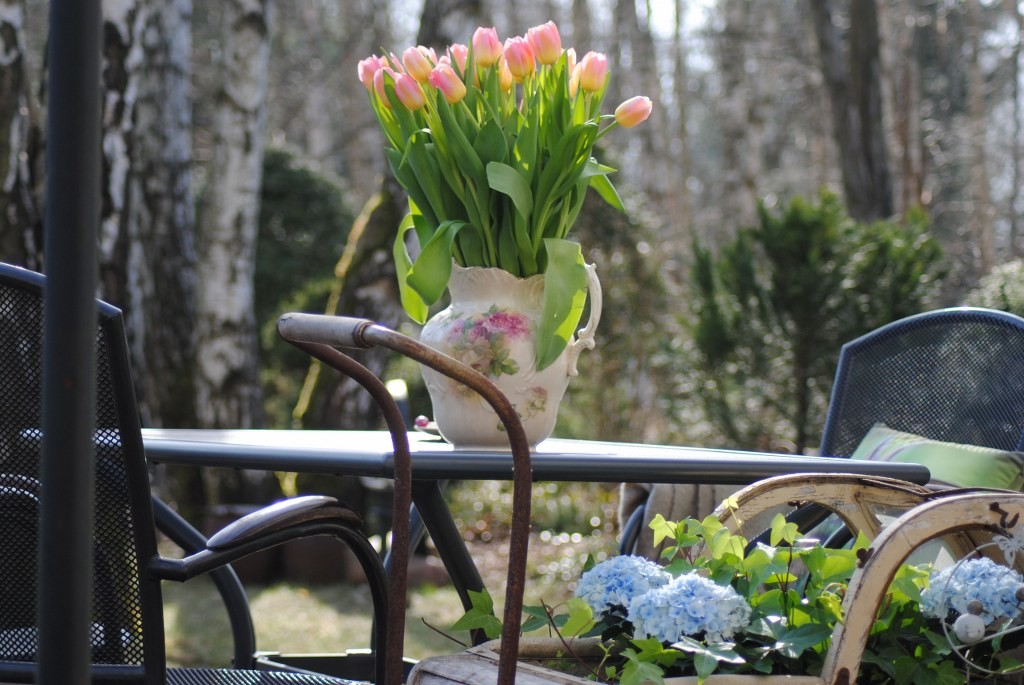 Pozostałe, Dzień dobry wiosno !!! - Uwielbiam jak kwiatki "wyjeżdżają" na ogród :) 