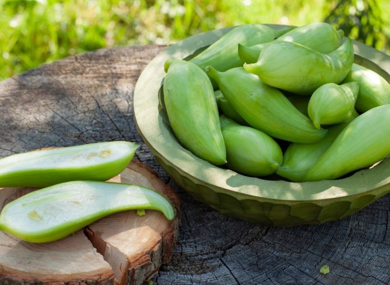 Dzikie ogórki mają wiele zastosowań kulinarnych i lecznicze właściwości.