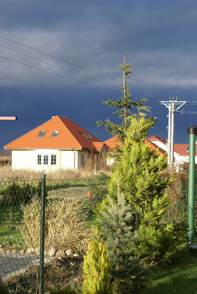 Ogród, widok z ogrodu