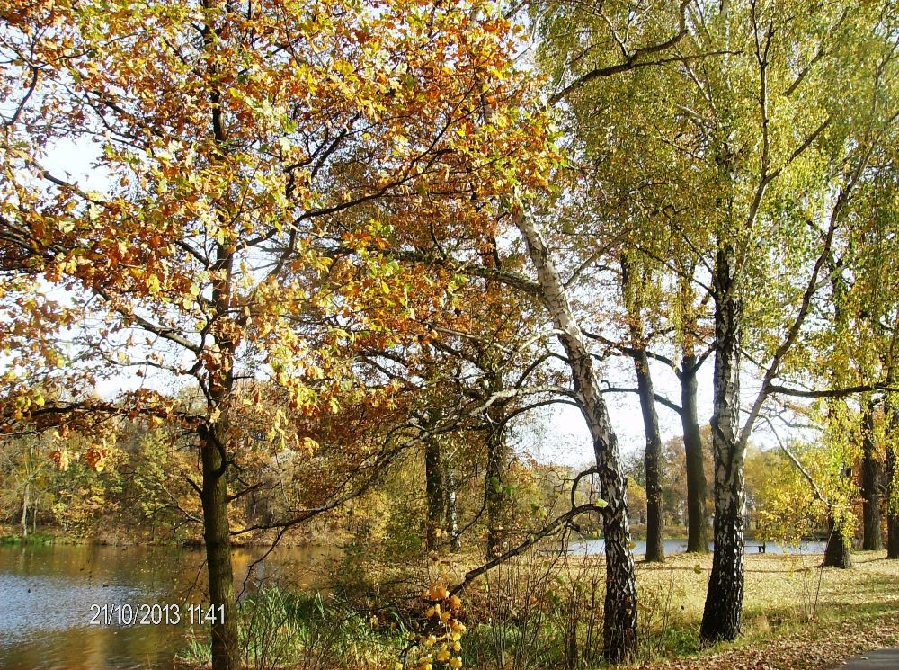 Pozostałe, PARK w ŚWIERKLAŃCU - Romantyczną przystań, cudowną roślinność