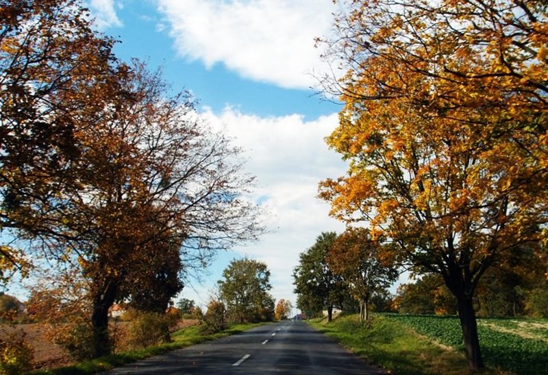 Podróże, Jesienną drogą jadąc