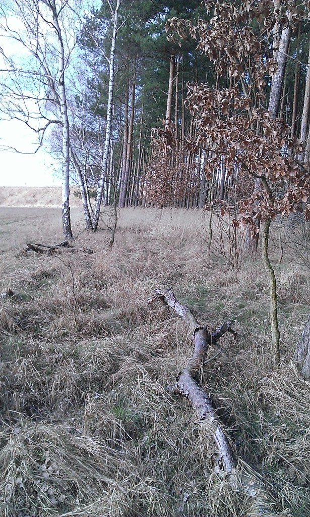 Pozostałe, moje poszukiwania...