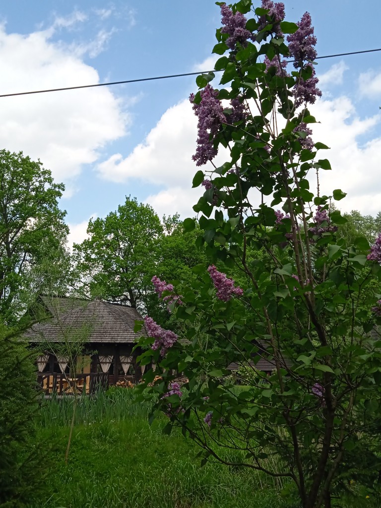 Leśne klimaty, PSZCZYŃSKIE UROKI