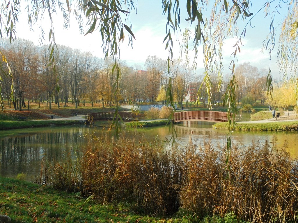 Rośliny, JESIEŃ  LŚNI  ZŁOCIŚCIE - Park Kachla Bytom