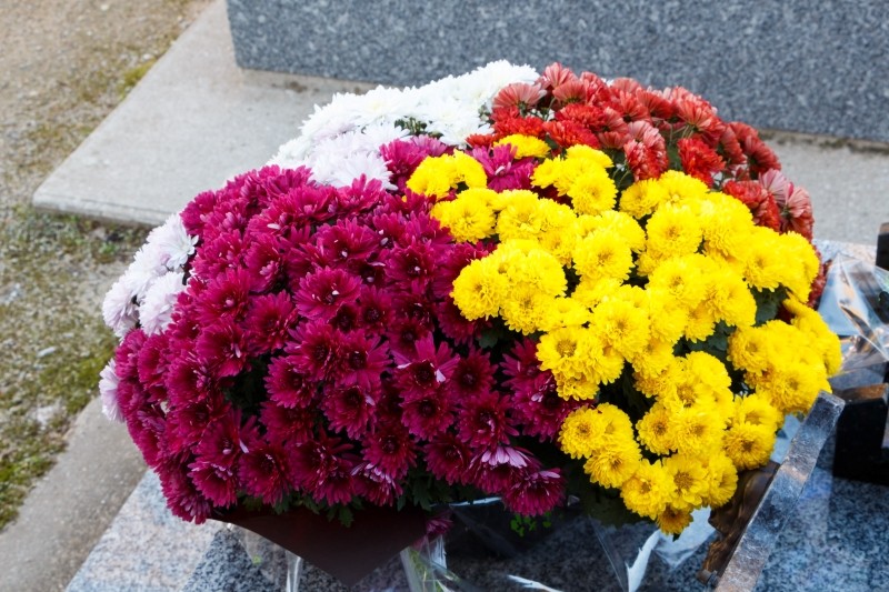 jakie kwiaty na cmentarz