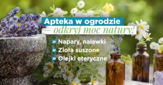 Apteka w ogrodzie