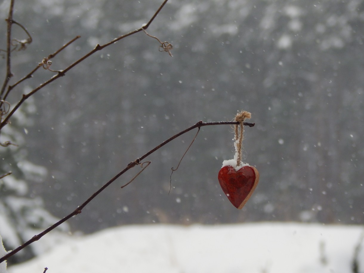 Leśne klimaty, OTULĘ CIĘ  :)