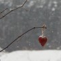 Leśne klimaty, OTULĘ CIĘ  :)