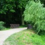 Pozostałe, Arboretum w Gołuchowie - Park i zabudowania cz 1 - Gołuchów  