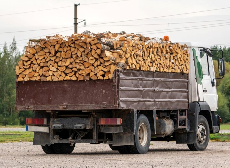 ceny drewna opałowego w Lasach Państwowych