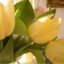 Pozostałe, A nad morzem prawie wiosna ............. - ..............i tulipany....................