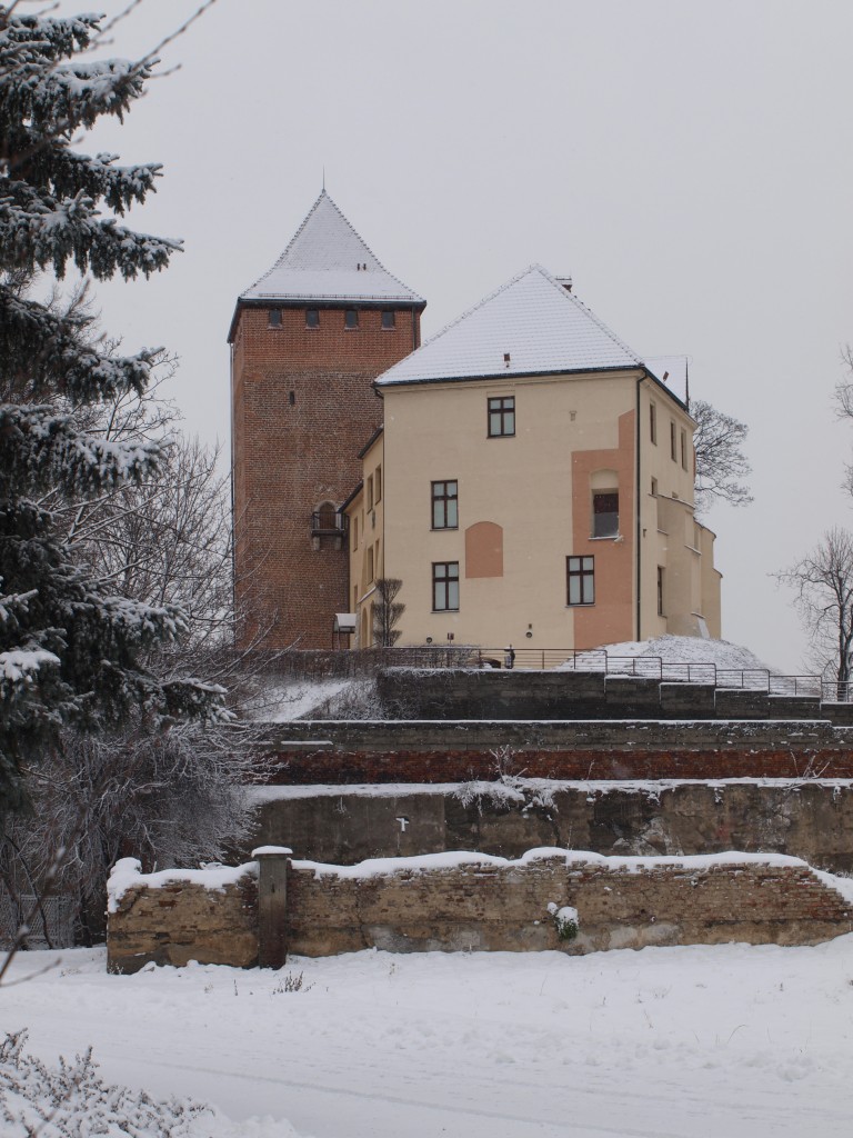 Pozostałe, Zimowy spacer - Zamek Piastowski z XIV w.