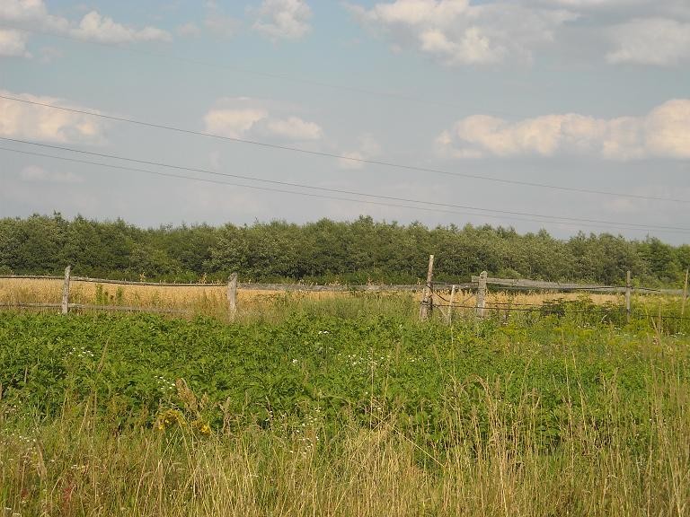 Pozostałe, Wiejskie klimaty czyli weekend na wsi...........