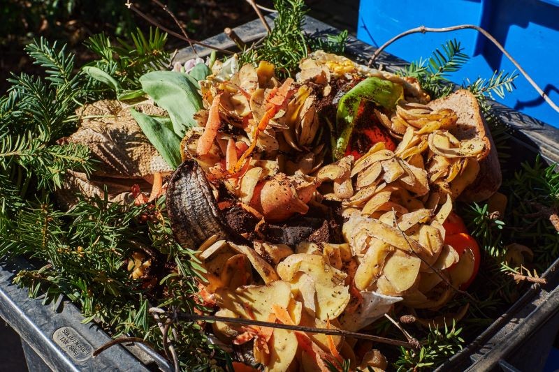 Popiół z kominka jest sposobem na szkodniki roślin i dodatkiem do kompostu.