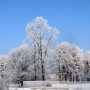 Pozostałe, Dekoracyjna zima.